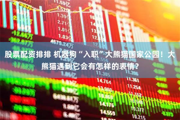 股票配资排排 机器狗“入职”大熊猫国家公园！大熊猫遇到它会有怎样的表情？
