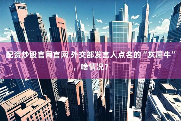 配资炒股官网官网 外交部发言人点名的“灰犀牛”，啥情况？